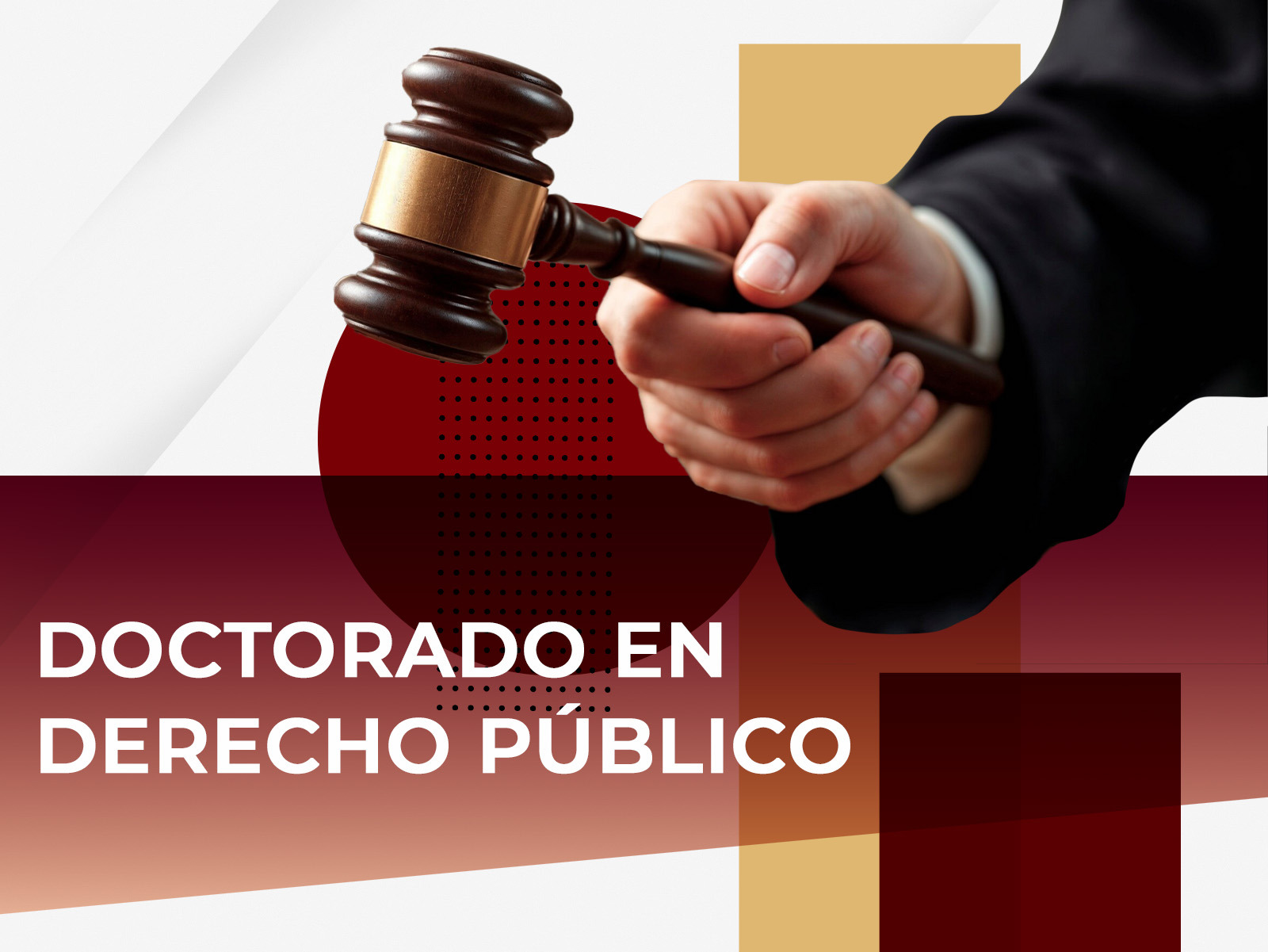 Doctorado en Derecho Publico